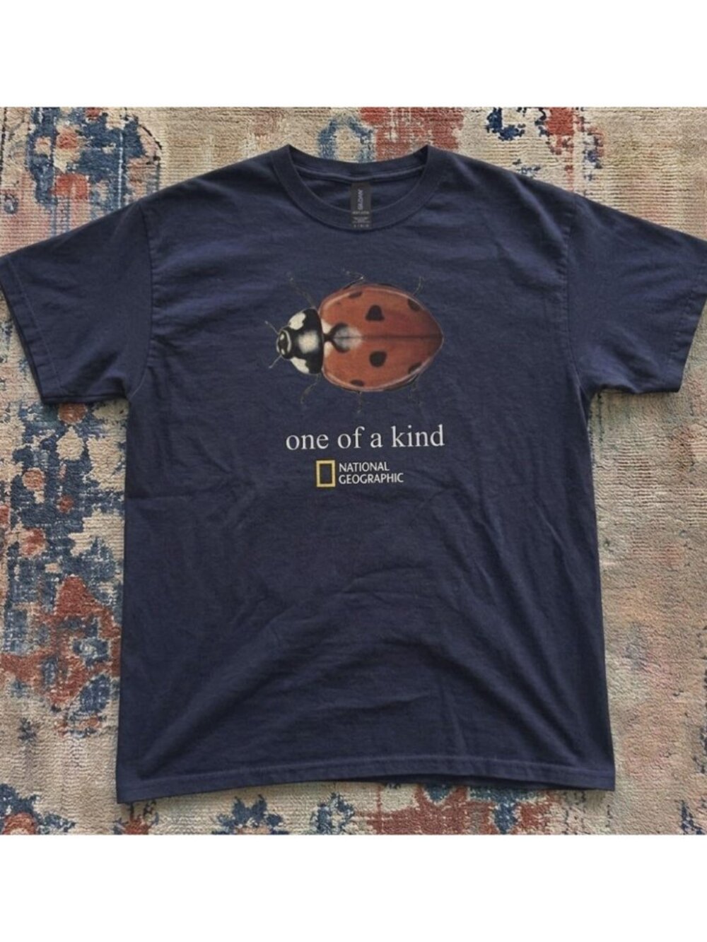 Navy blue National Geographic t-shirt with ladybug unisex